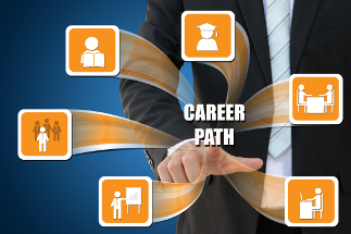 smaller images showing a variety of routes to a career